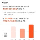 상인알뜰쇼핑 | 상생페이백 디지털 온누리상품권으로 아기 과일 구매 — 최대 30만 원 환급받고 신선한 과일 알뜰쇼핑 후기