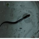 지렁이마을 이미지