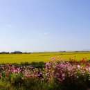 진봉보건지소 이미지