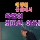 백호사주카페 이미지