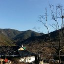 청도공인중개사사무소 이미지