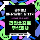 주식회사 리안소프트 이미지