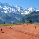 제천소프트테니스장 이미지