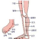 쑤시고 아픈 무릎 관절염 탈출법 이미지