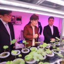 기준농장 이미지