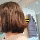 블랙코인노래연습장 이미지