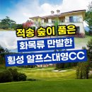 알프스대영CC | 자연계곡을 따라 흐르는 물소리, 알프스대영CC 라운딩 후기가 유독 좋은 이유(ft.골프장)