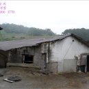 용흥리축사 네이버블로그