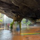 (주)동양정비 | 싱가포르 가족여행 추천｜나이트 사파리·버드 파라다이스 번들 입장권 예약 방법, 가격, 꿀팁