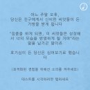 포레스트(forest) 이미지