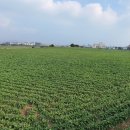 송악관광로 이미지