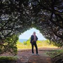 우정카서비스 | 제주도 15인승 쏠라티 렌트 ❄️ 겨울 낭만 우정 여행 후기