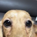 행복해 이미지