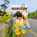 벨포레 리조트 주니토니 스탬프투어 부대시설, 투썸