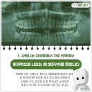 강남사랑니치과의원 이미지