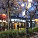 우리삼겹 | 마포역 미나리우리삼겹 솔직 후기