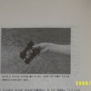 자석곡 이미지