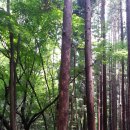 물소리쉼터 이미지