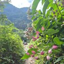 백운봉휴게소 이미지