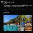 X에서 저장한 음식 / 맛집 / 옷 / 여행 등