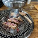 단단한림 이미지