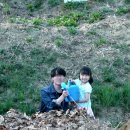 성혜농장 Daum카페