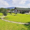 건강한식탁 파스타 이미지