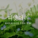 말도 예쁘고 뜻도 예쁜 우리말 단어 .gif 이미지