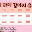 하이까미 이미지