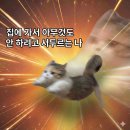 ISFP 줌님들을 위한 짤모음 이미지
