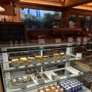 달달스텝 | 공주 한옥카페 추천 {싱글스텝} 버터바 맛집, 내돈내산 솔직후기