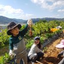 목골농장 이미지