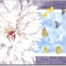 수채화A 이미지