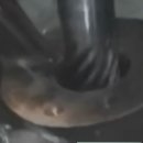 시화