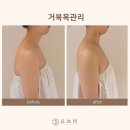 오브마곡 이미지