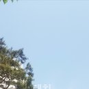 대치팰리스 어린이집