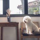 디와이인테리어 - 광주시 도마치길 29 | 디와이인테리어