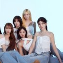 조화그룹 일간스포츠