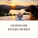 수원 광교호수공원, 반려견과 함께 하는 뷰 카페 총정리! 놓치면 손해쥬!