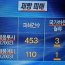 ?홍수 뻥튀기로 연출된 대국민 사기극 이미지