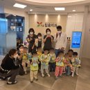 사랑나무치과의원 이미지