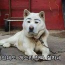 더블트리바이힐튼호텔 이미지