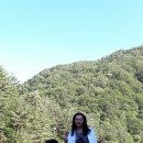 새론민박 이미지