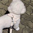 디자인더희