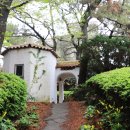 서귀동-31 이미지