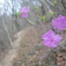 천종사 Daum카페