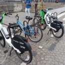 라임 (Lime) 이미지