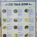더달달안성공도우방점 | 안성 공도 쌈밥 맛집 | 삼겹살에 돌솥밥까지 푸짐한 다라물돌솥쌈밥