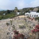 제주 브로딕 이미지