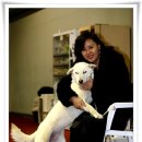 애견전람회 이미지